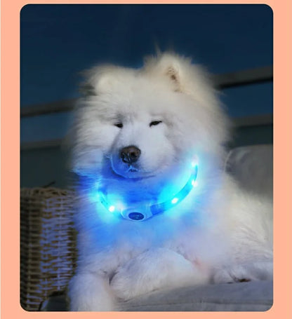 GloPet™ Illuminating LED Dog Collar