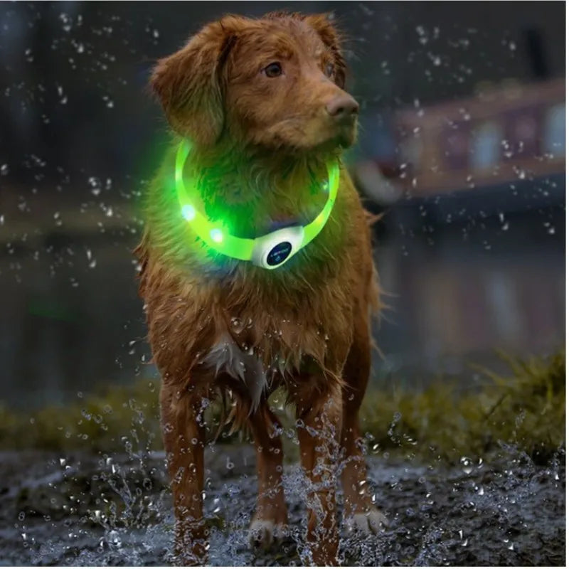 GloPet™ Illuminating LED Dog Collar