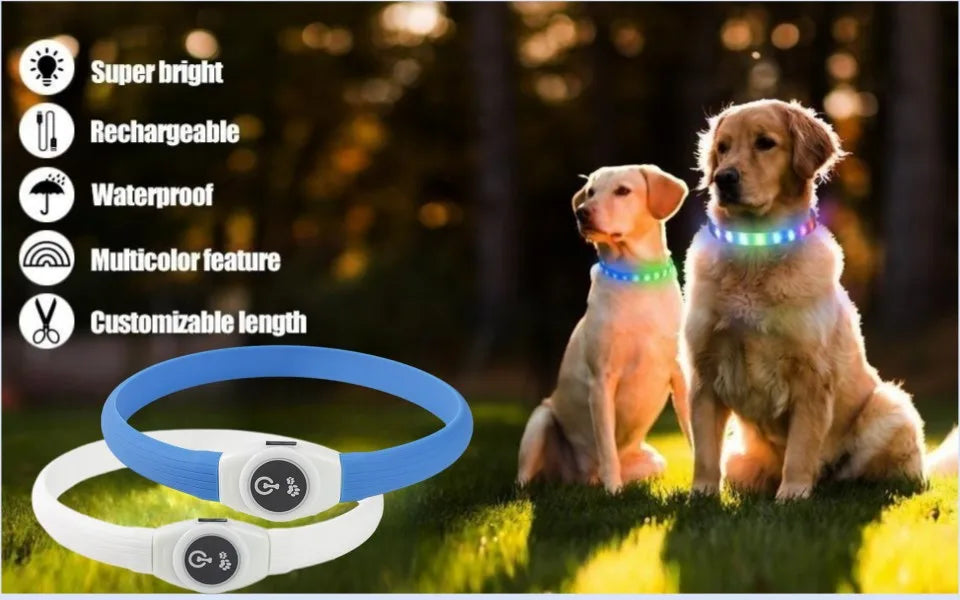 GloPet™ Illuminating LED Dog Collar